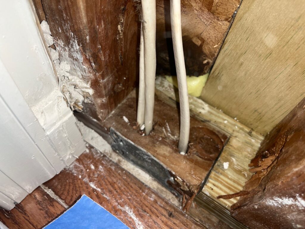 Professional Mold Removal and Air Quality Solutions for Your Home