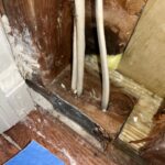 Professional Mold Removal and Air Quality Solutions for Your Home